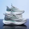Gray Qing 2406