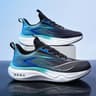 Black and blue 2406
